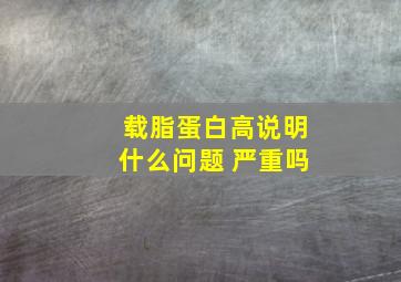 载脂蛋白高说明什么问题 严重吗